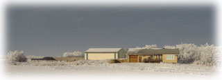 Home of Star P Farms