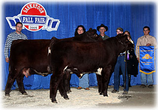 Star P Promise 7S - Grand Champion Shorthorn Female 2008 Saskatoon Fall Fair